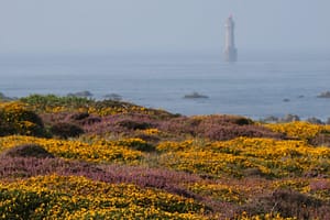 écosystèmes et avifaune migratrice